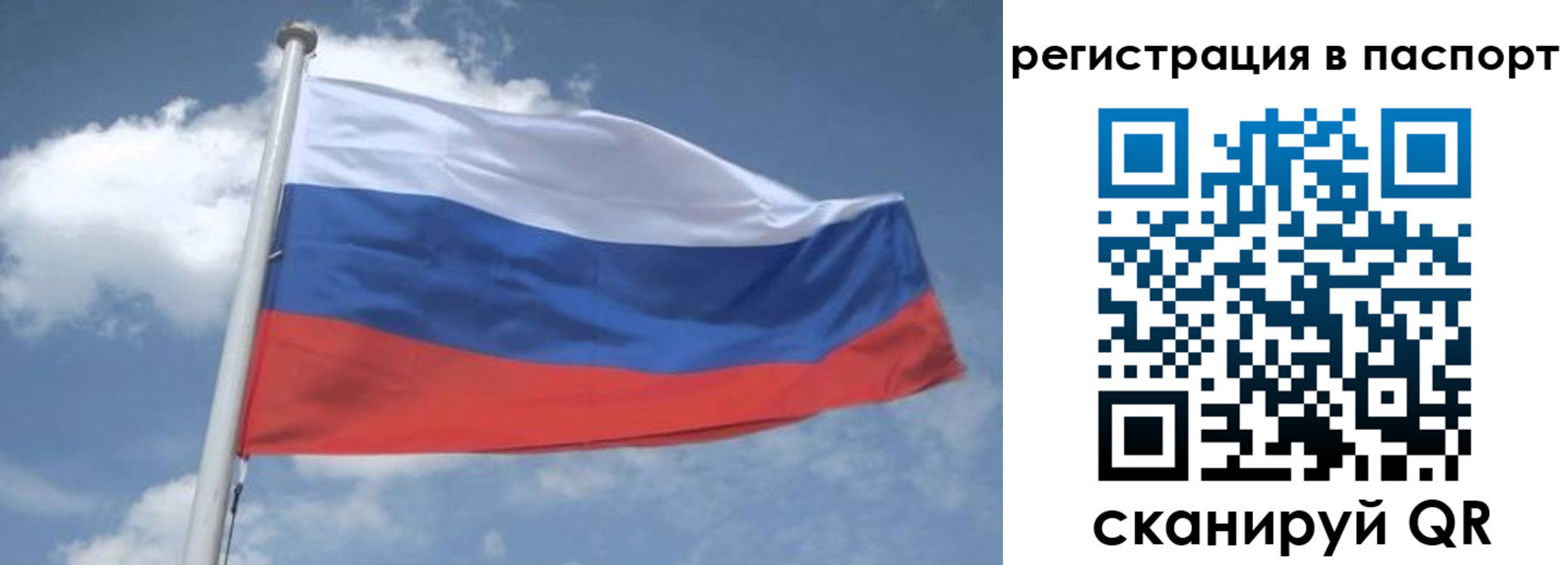 временная регистрация надежно в Приморском крае